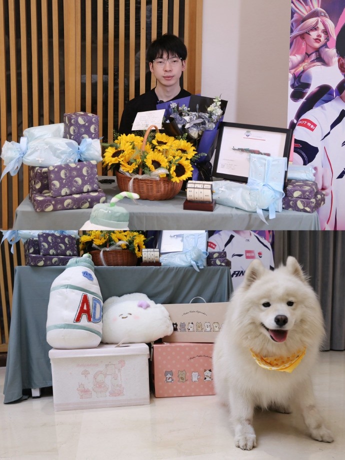 AL分享Hope返图：王哥的周年礼物开箱来啦 一年两度青青草原大会